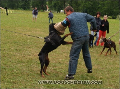 Training camp - Lukova 2007